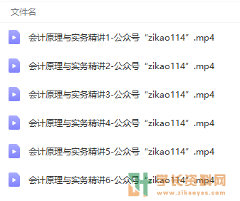 11744会计原理与实务精/串讲视频下载百度云网盘
